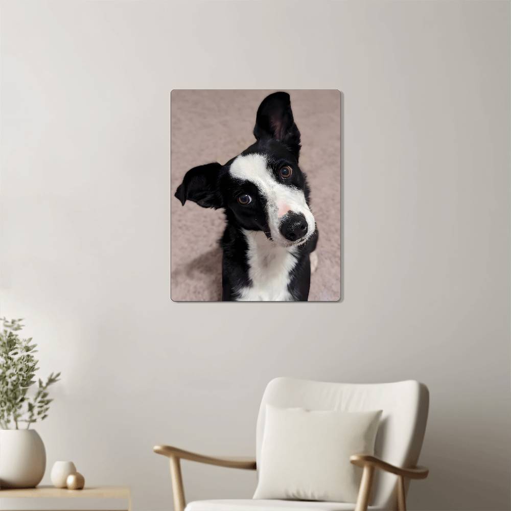 Montana, Hi-Gloss Metal Wall Art Print