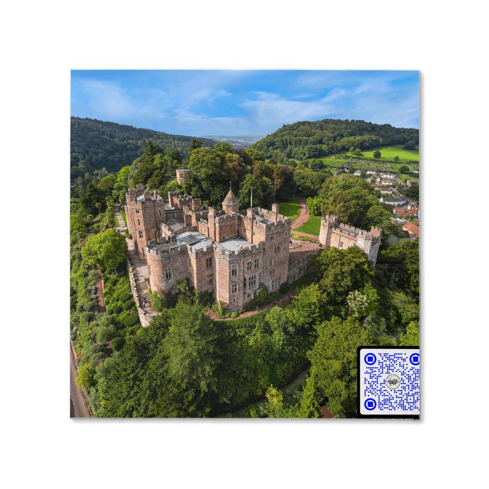 Dunster Castle, Somerset England, Aerial View, Gallery Wrapped Canvas