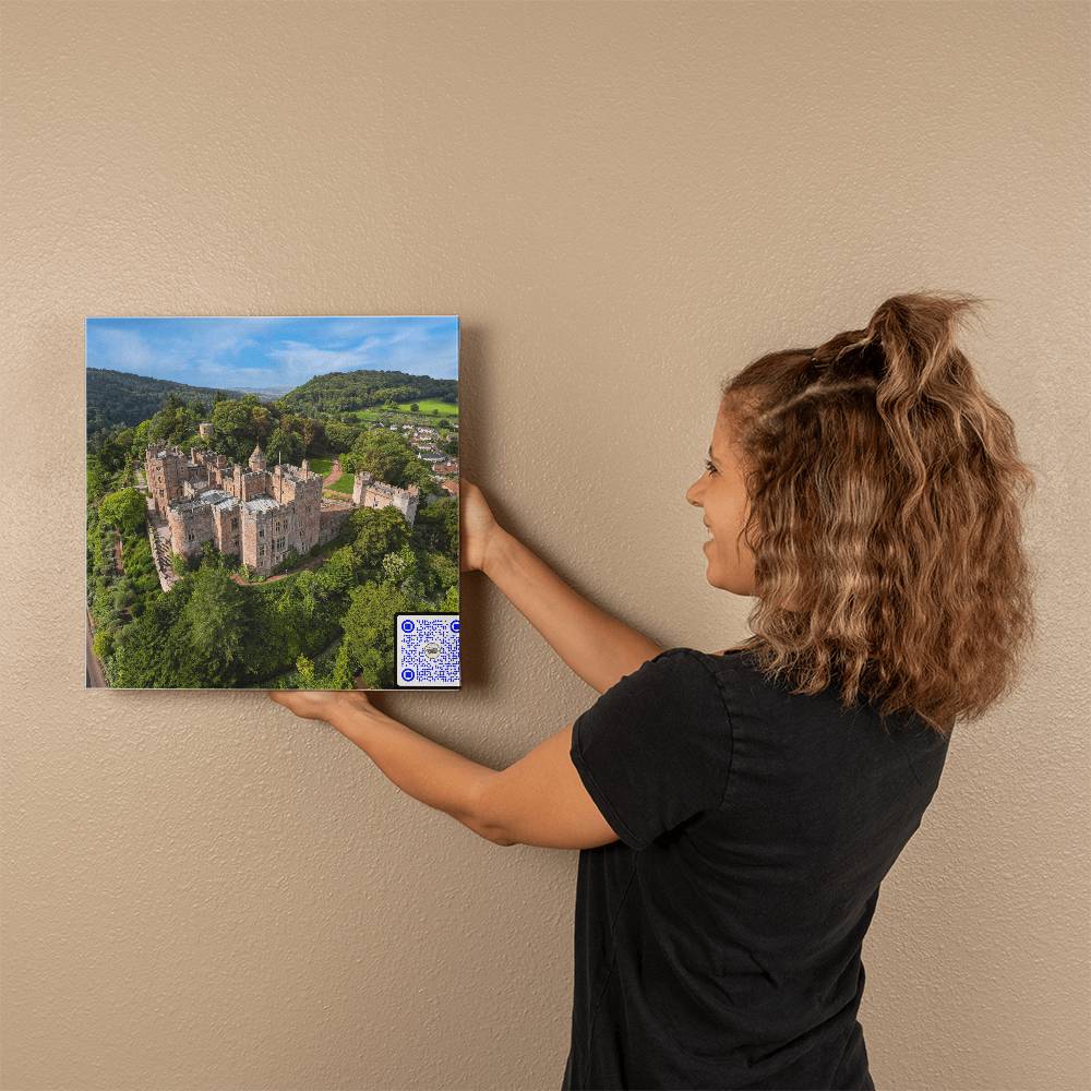 Dunster Castle, Somerset England, Aerial View, Gallery Wrapped Canvas