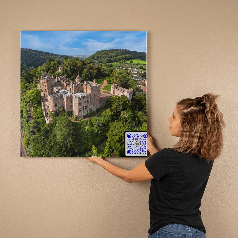 Dunster Castle, Somerset England, Aerial View, Gallery Wrapped Canvas