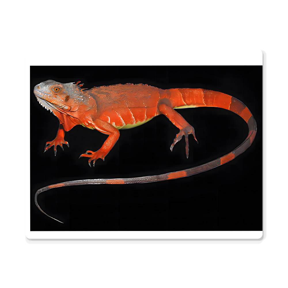 Red Iguana, Hi Gloss Metal Wall Art Print