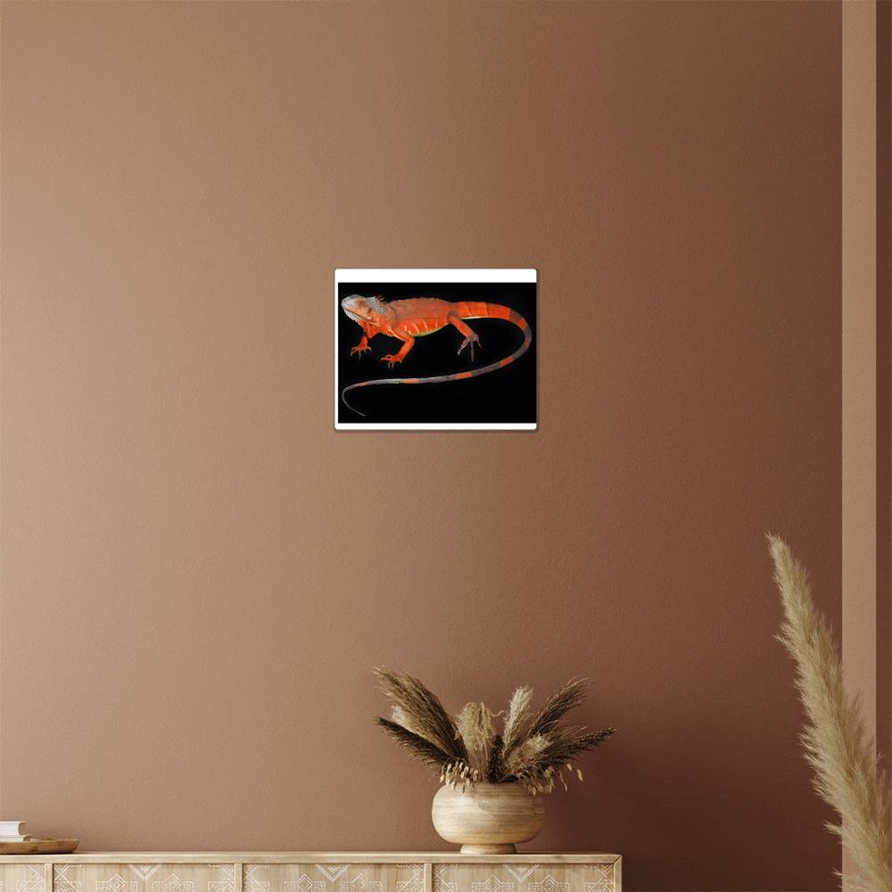 Red Iguana, Hi Gloss Metal Wall Art Print