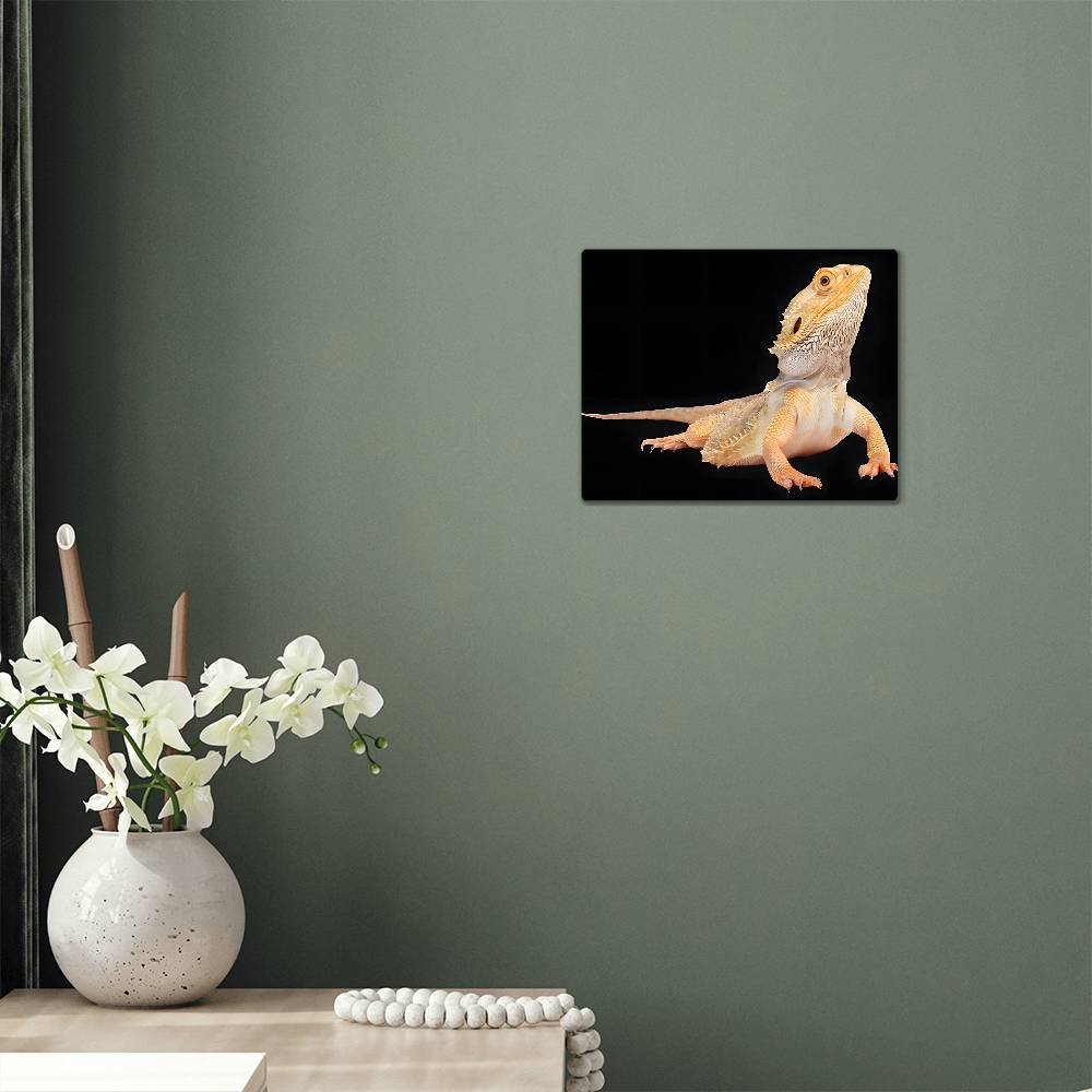 Bearded Dragon, Hi-Gloss Metal Wall Art Print, Landscape