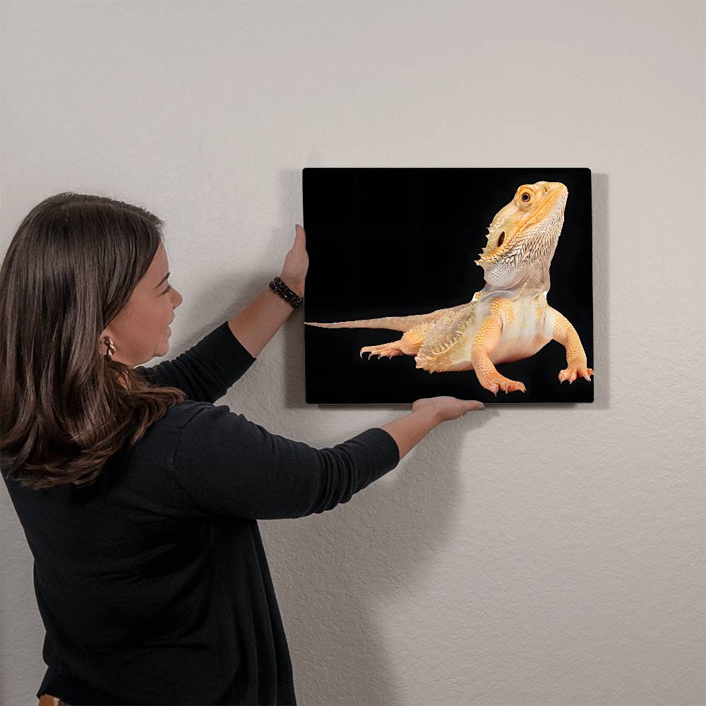 Bearded Dragon, Hi-Gloss Metal Wall Art Print, Landscape