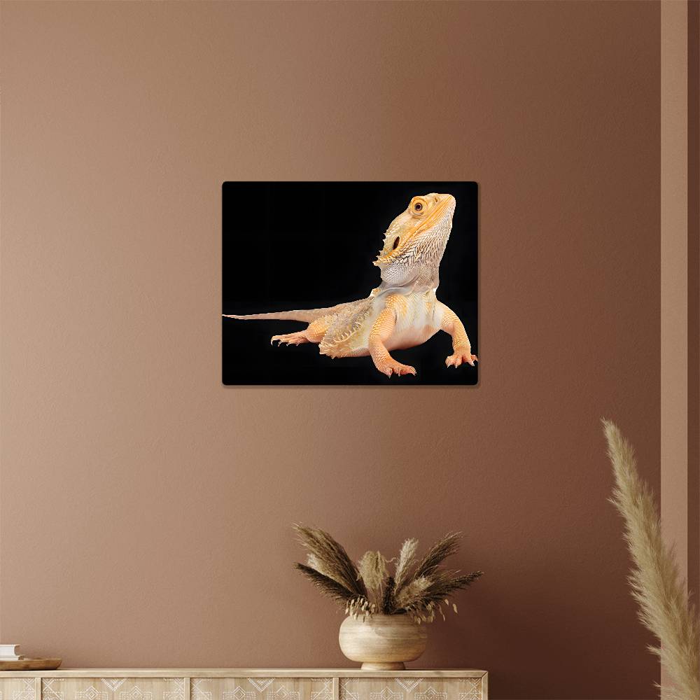 Bearded Dragon, Hi-Gloss Metal Wall Art Print, Landscape