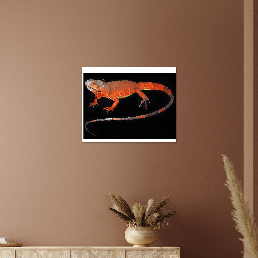 Red Iguana, Hi Gloss Metal Wall Art Print