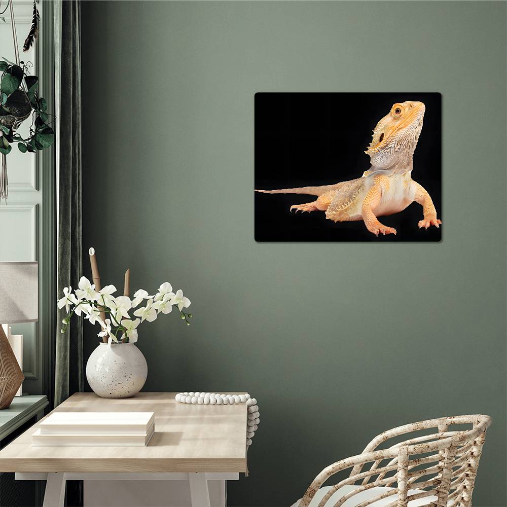 Bearded Dragon, Hi-Gloss Metal Wall Art Print, Landscape