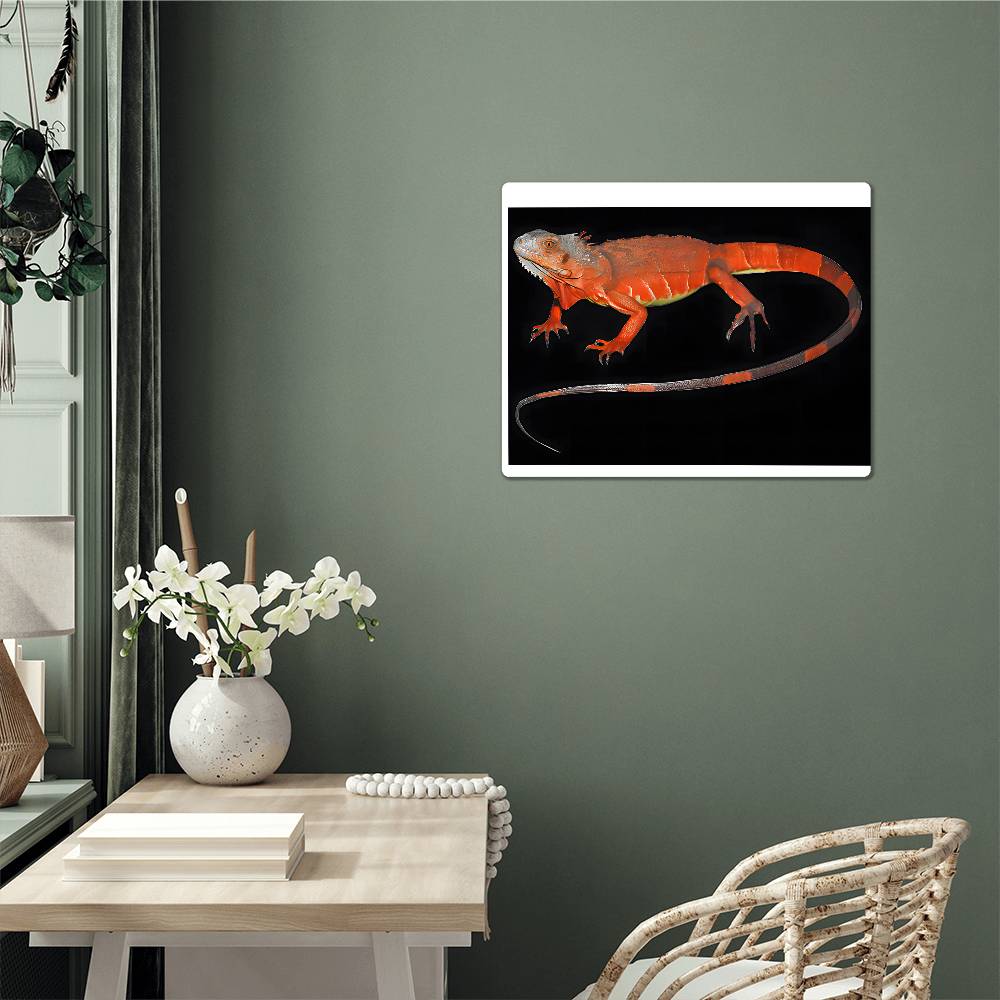 Red Iguana, Hi Gloss Metal Wall Art Print