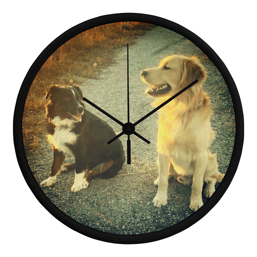 Wall Clock, Color Rimmed,  Clock Face, Doggies Picture